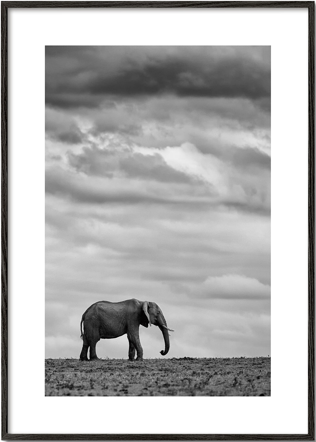 Elephant Landscape 2