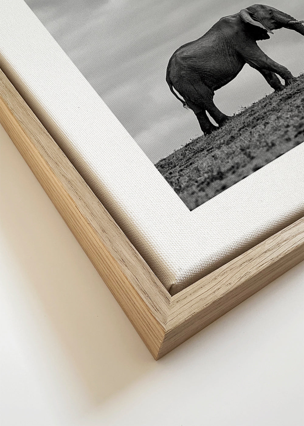 Elephant Landscape 2