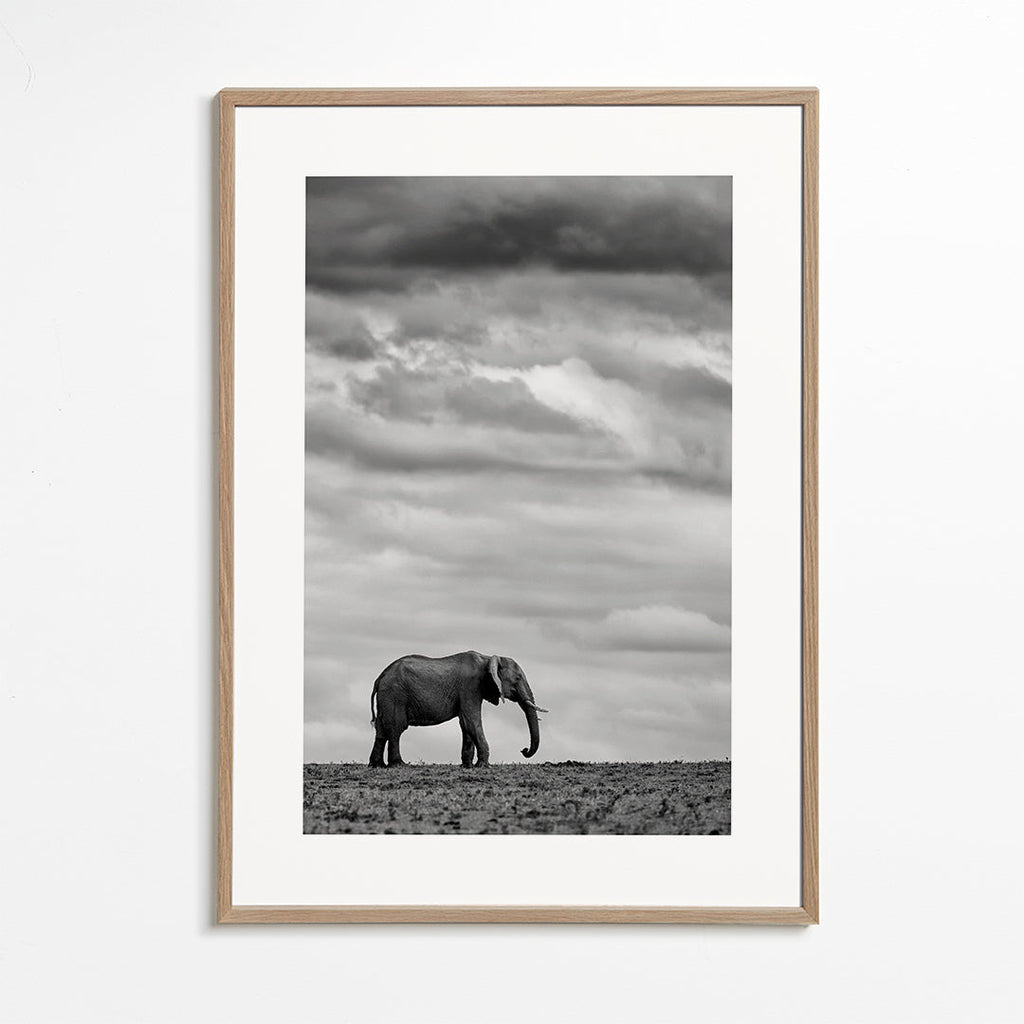 Elephant Landscape 2