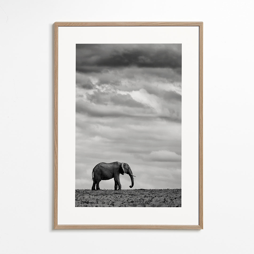 Elephant Landscape 2
