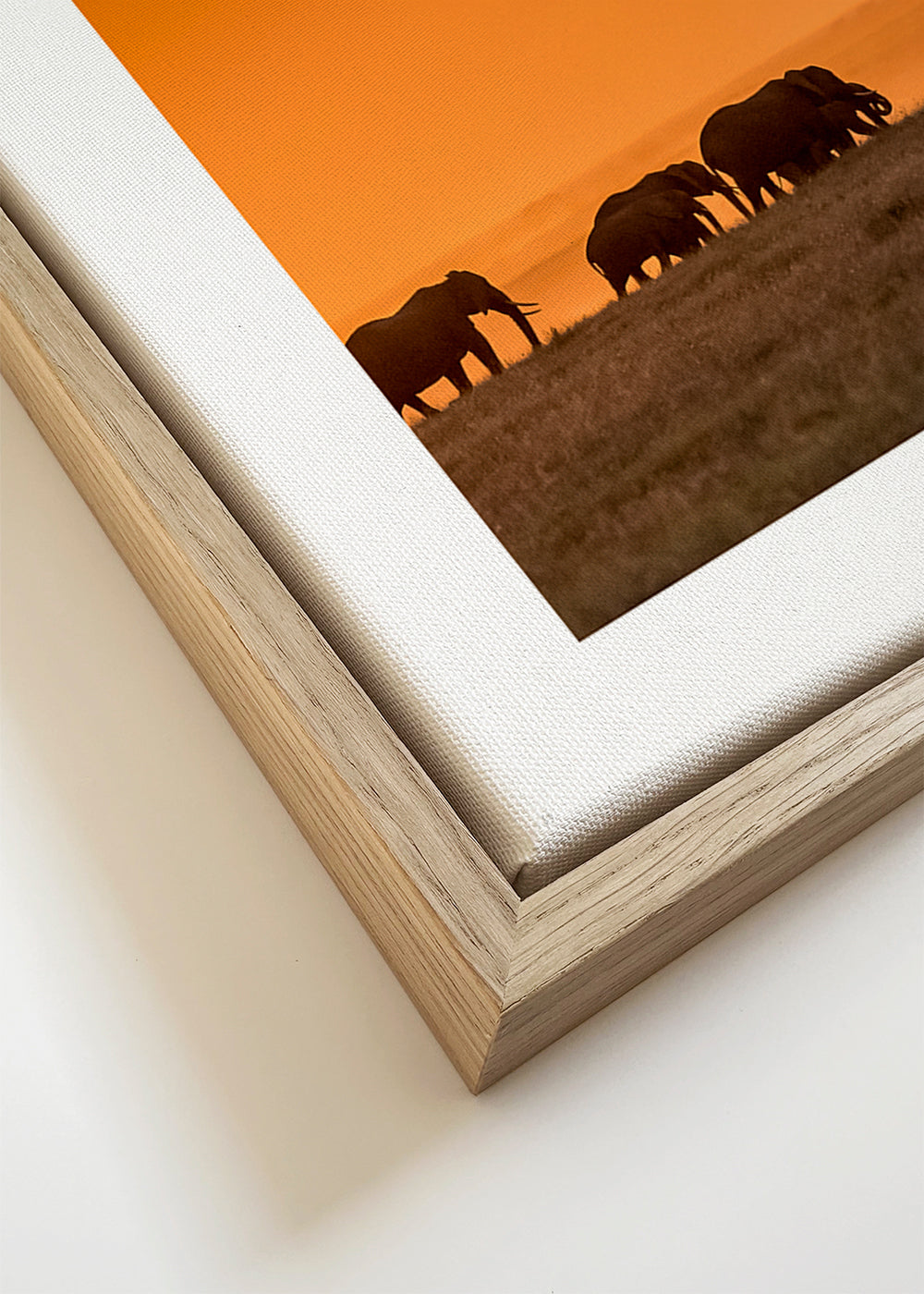 Sunrise over Amboseli - Jeffrey C. Sink