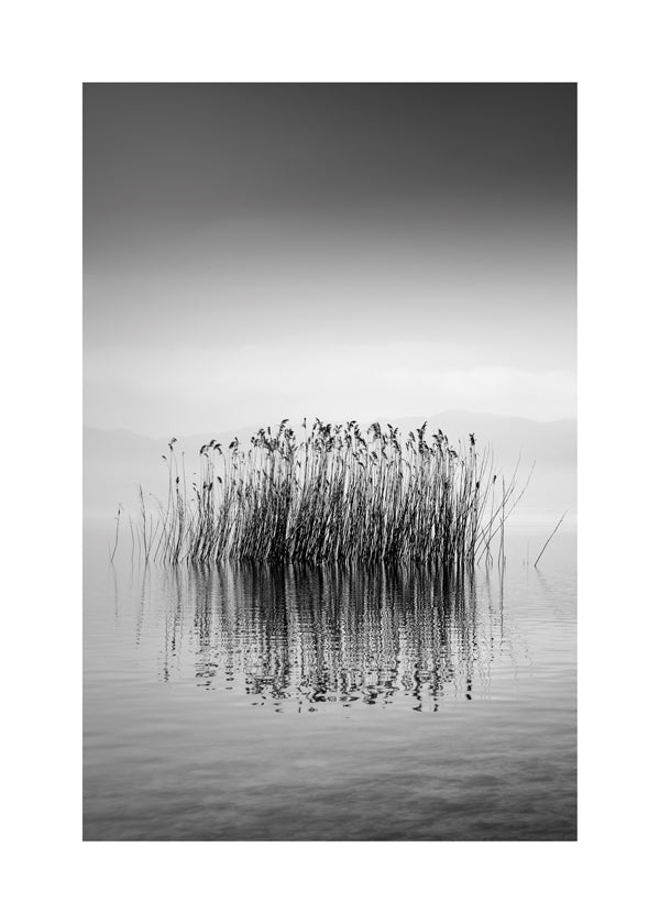 Black and White Silence