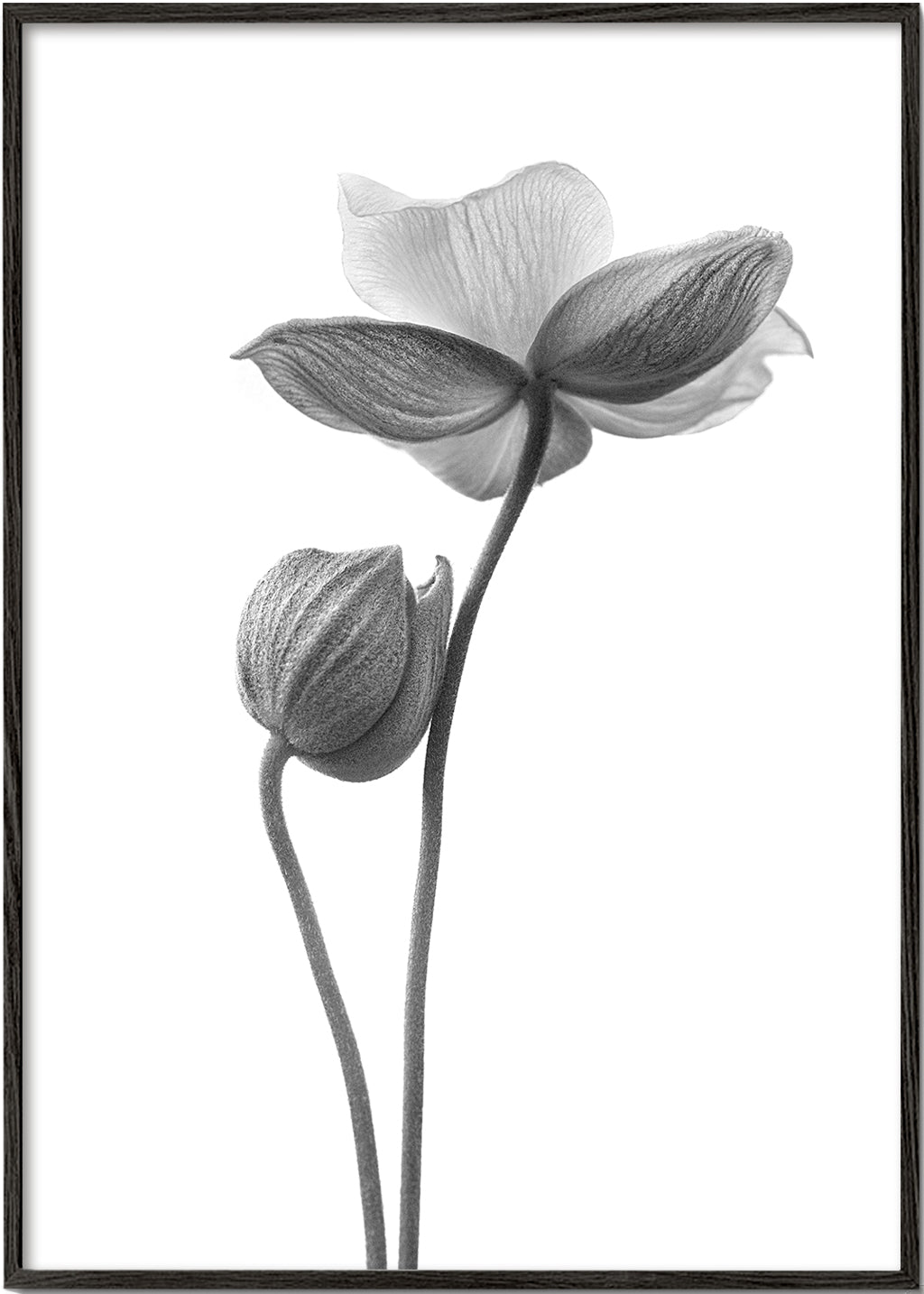 A little touch monochrome