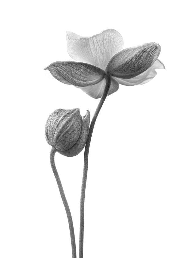 A little touch monochrome