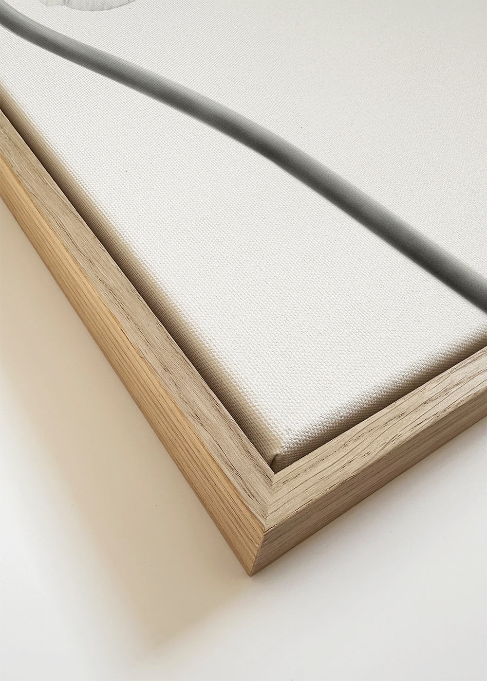 Same tulip front and backview