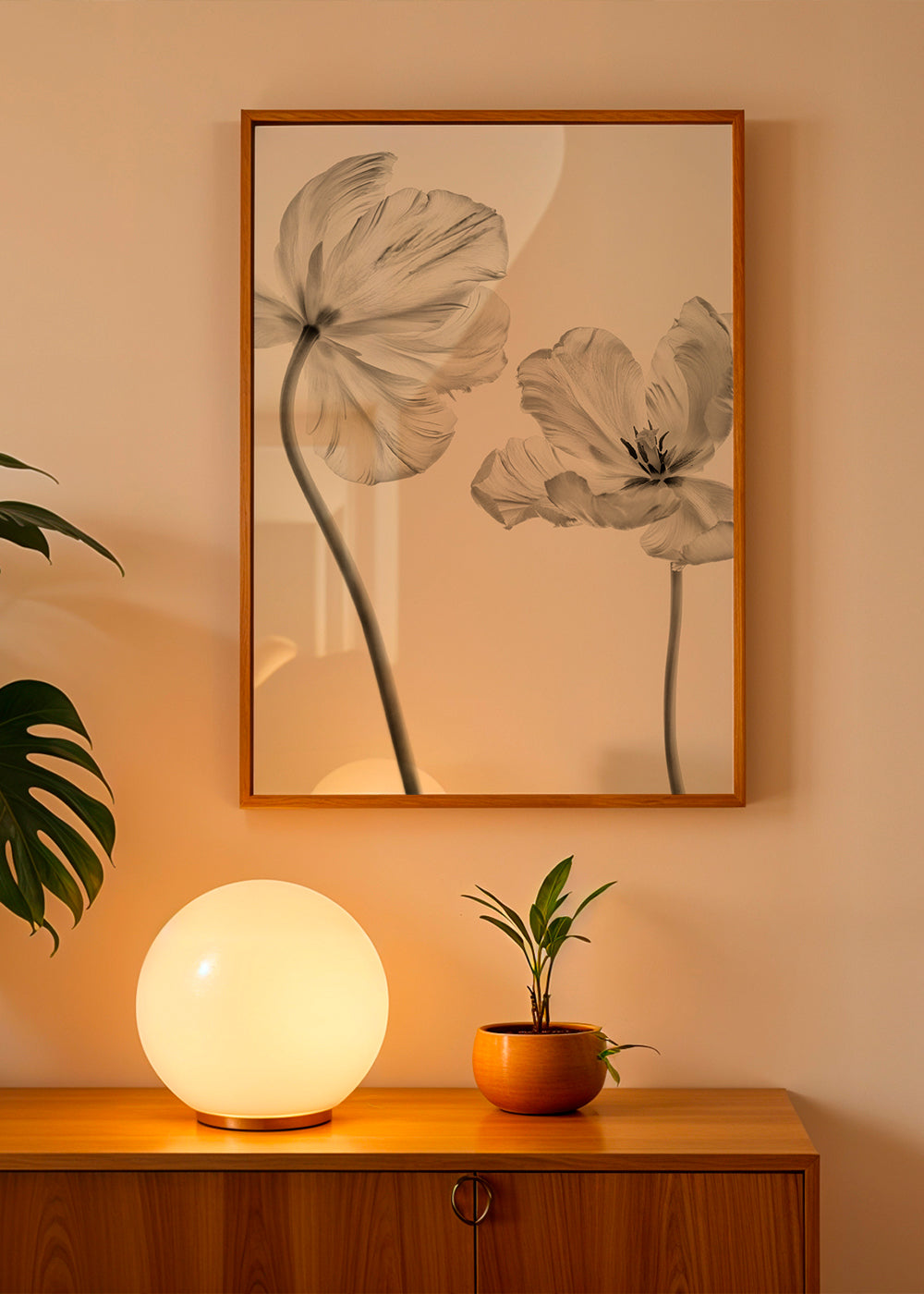 Same tulip front and backview