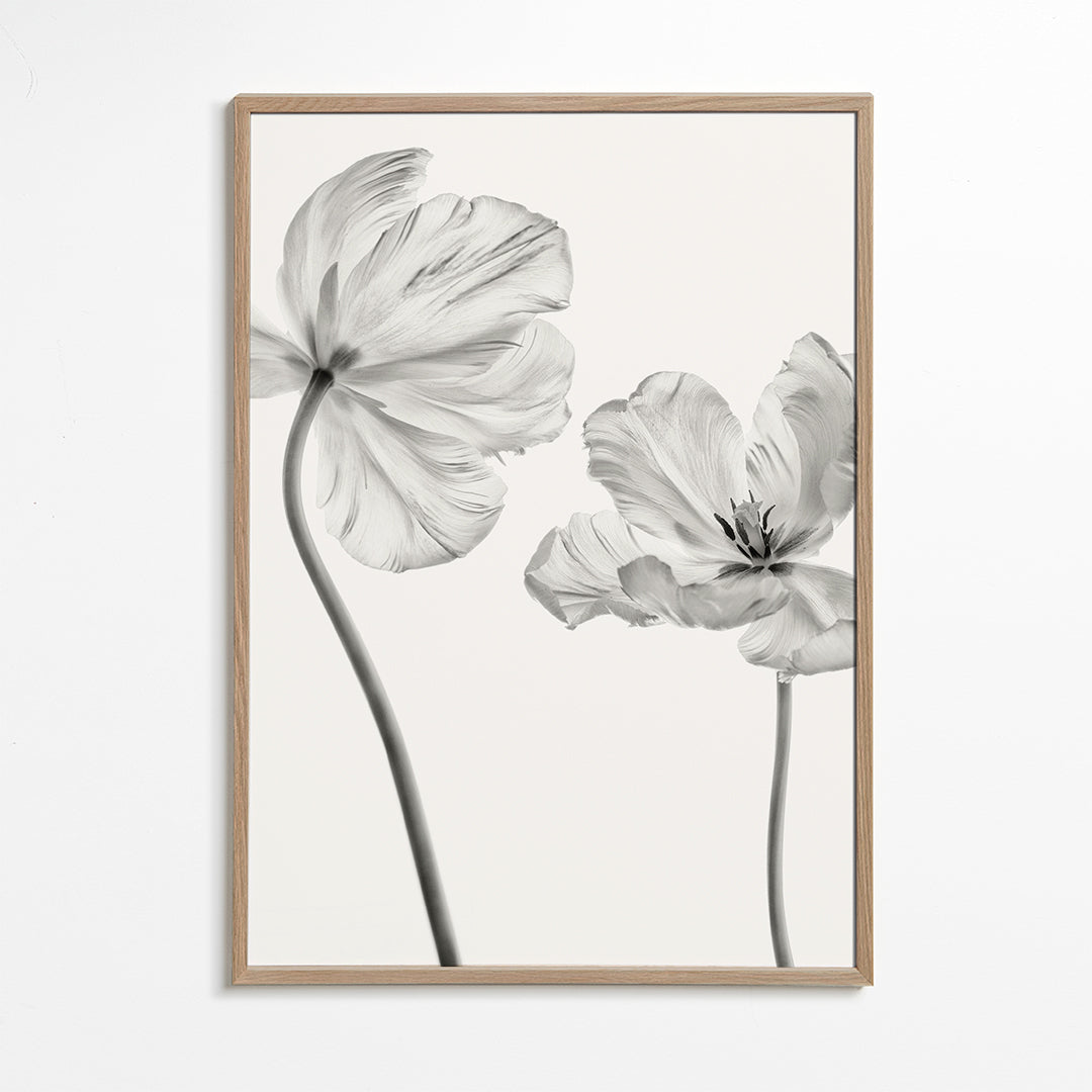 Same tulip front and backview