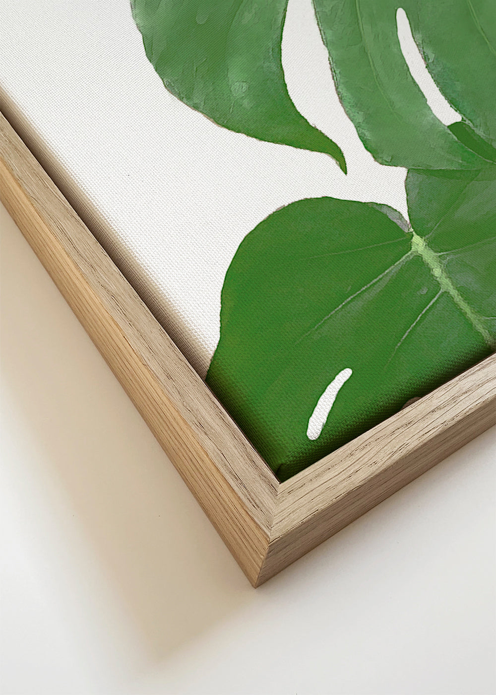 Monstera Green 03