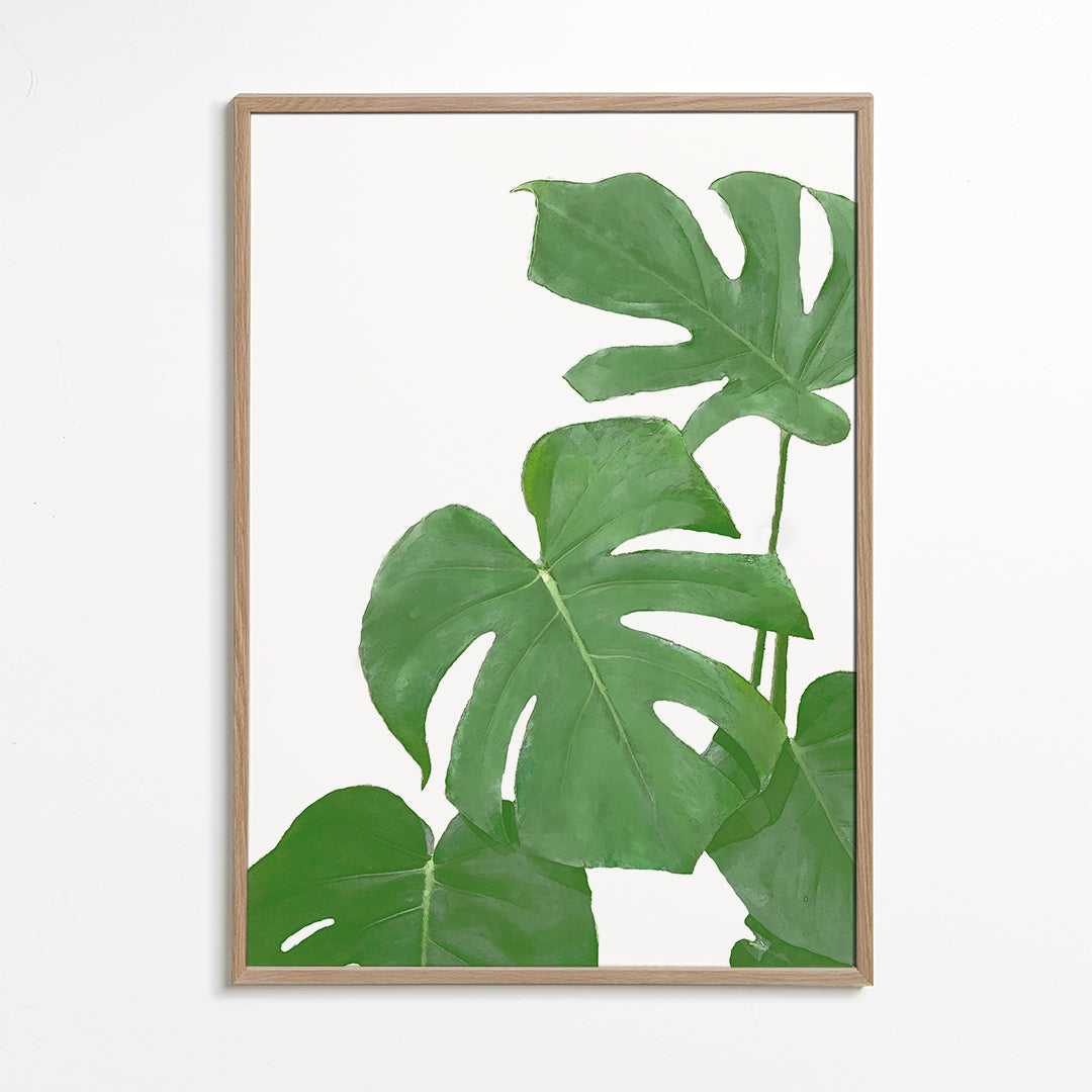 Monstera Green 03