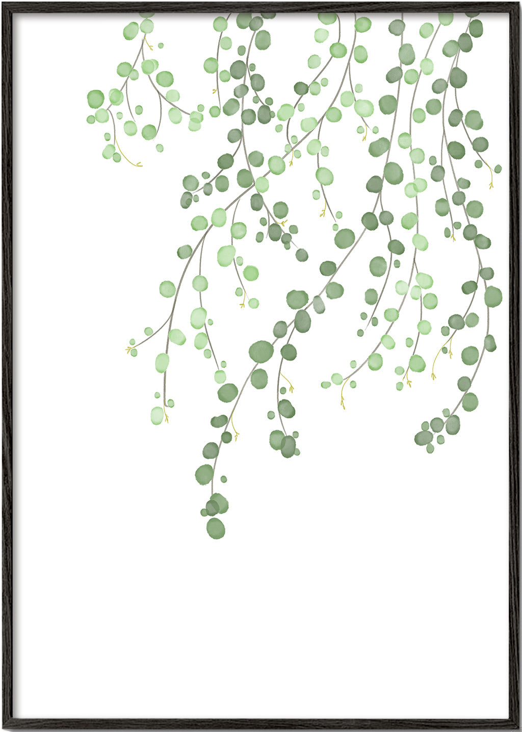 Birch Tree