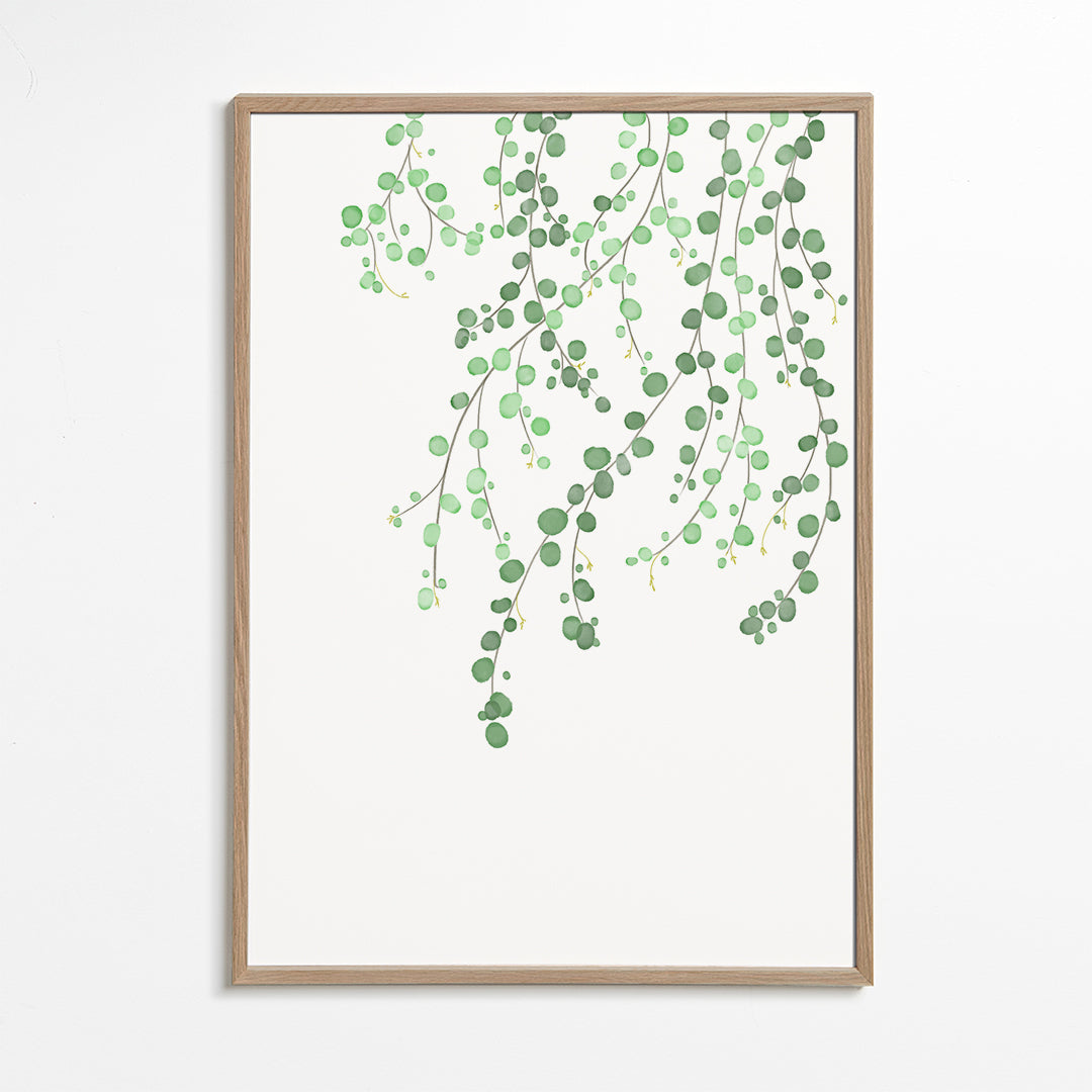 Birch Tree