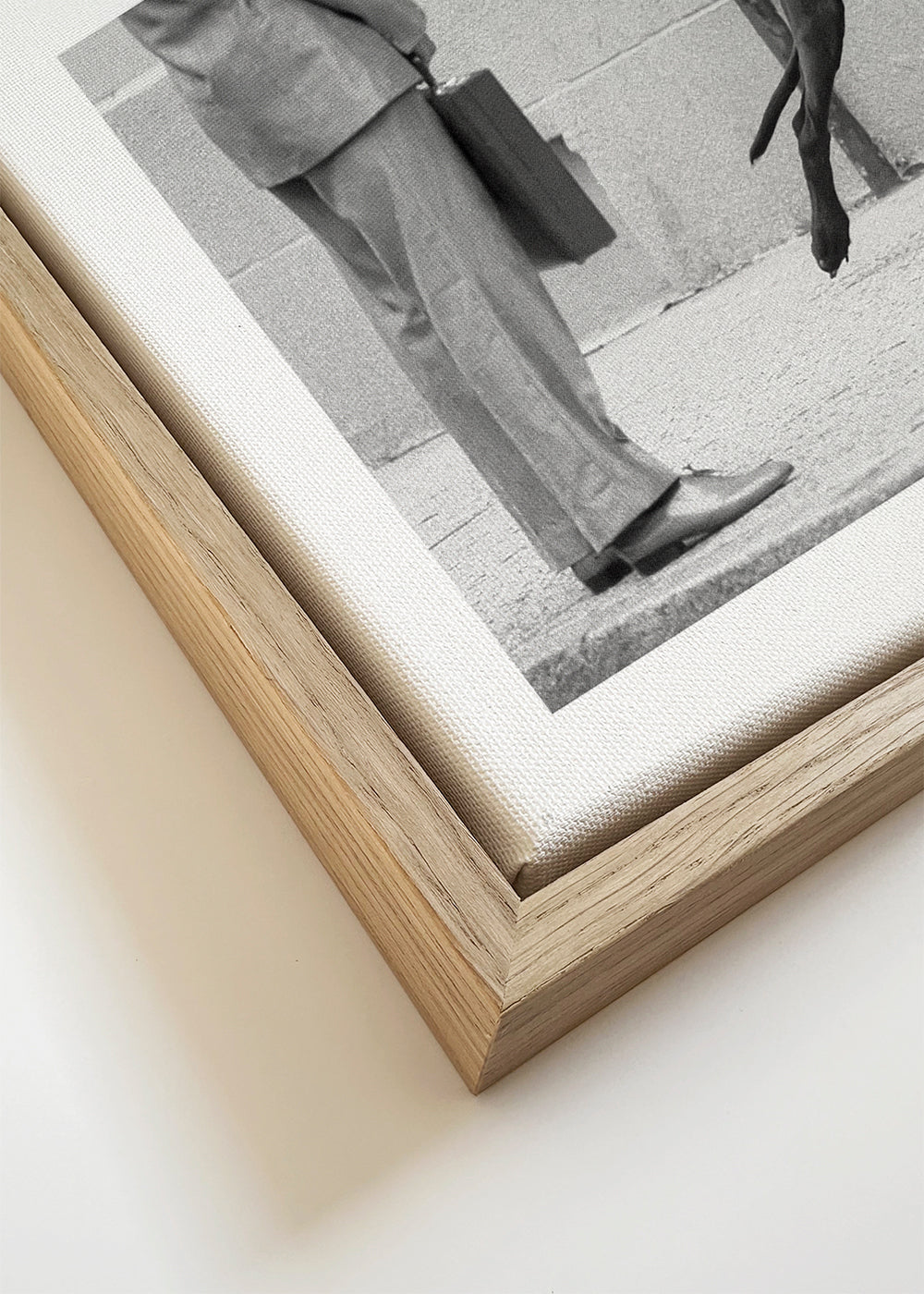 Great dane bodyguard