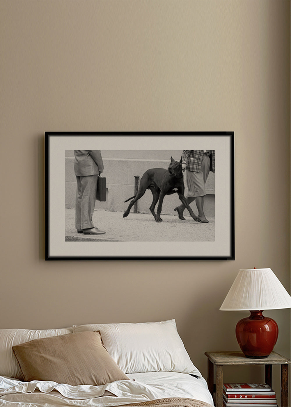 Great dane bodyguard