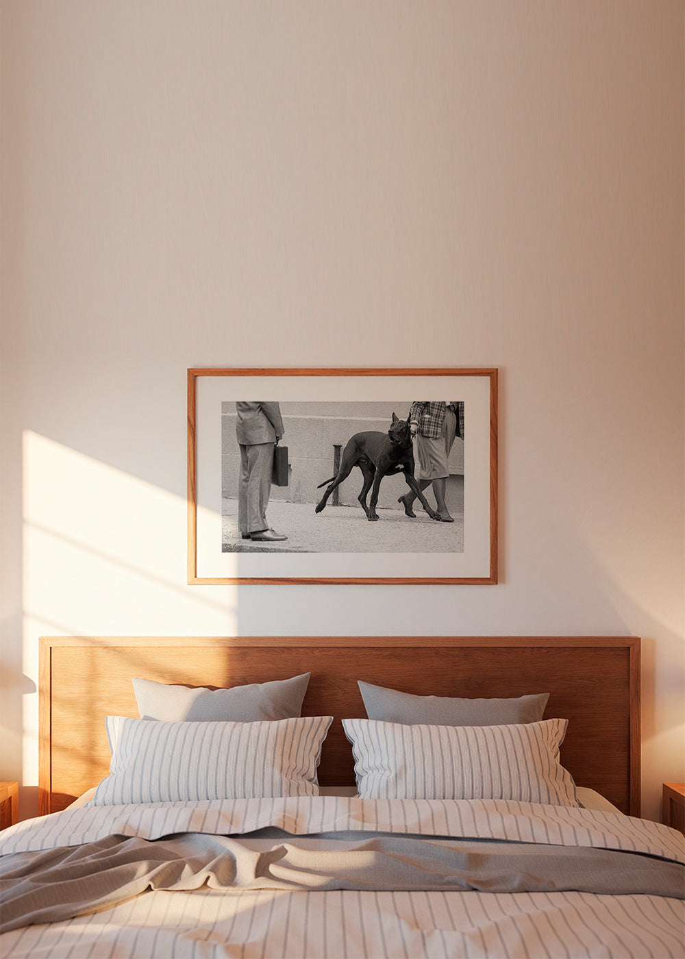 Great dane bodyguard