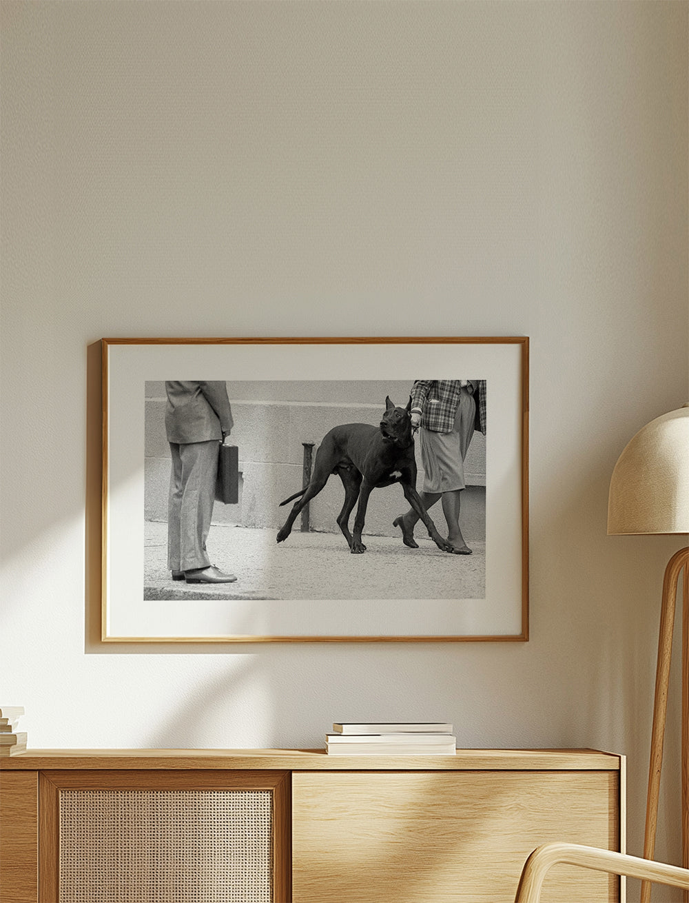 Great dane bodyguard