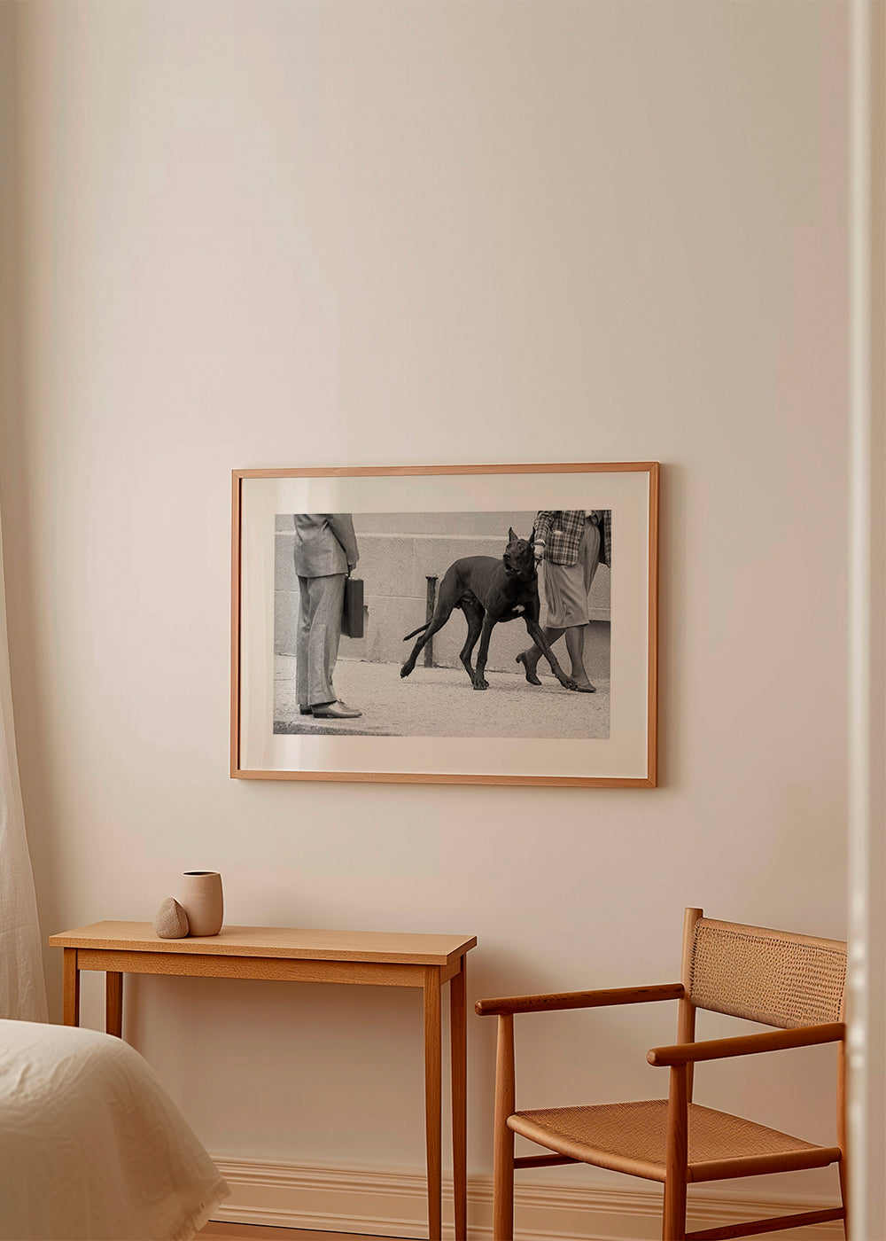 Great dane bodyguard