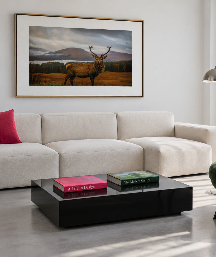 Scottish Stag - Framed canvas in an interior