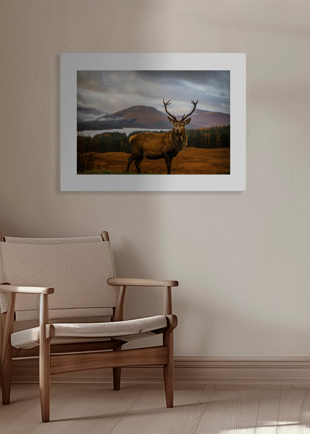 Scottish Stag - Adrian Popan