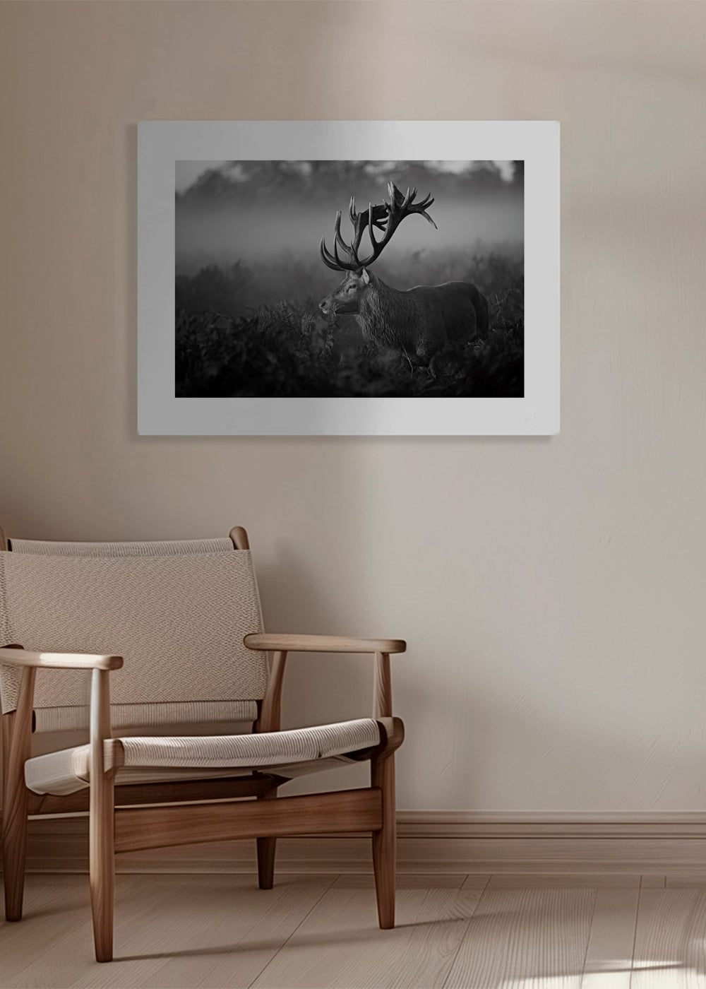 Sunny Morning - Robert Fabrowski