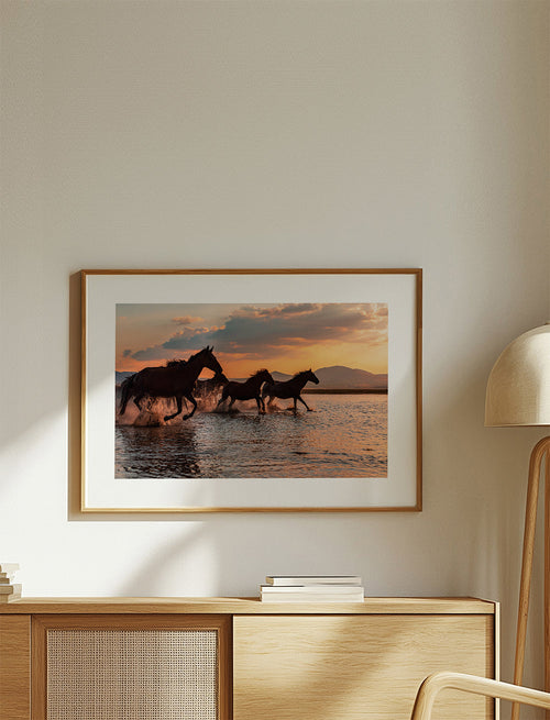 WATER HORSES