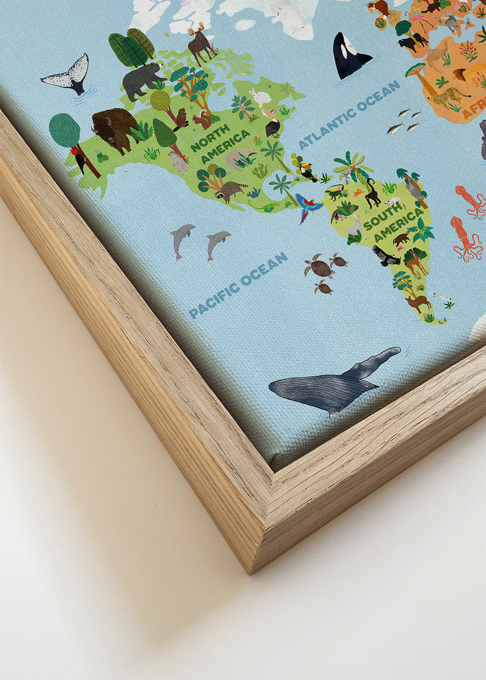 World map for kids - jotadejai