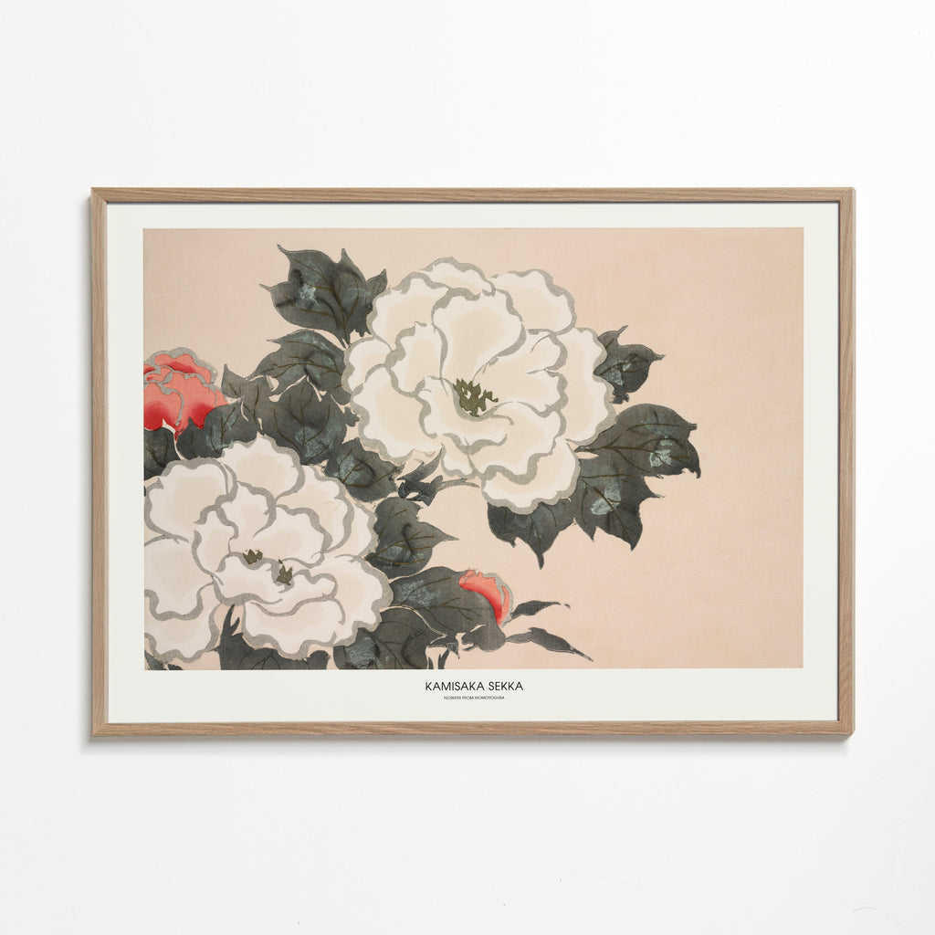 Flowers From Momoyogusa