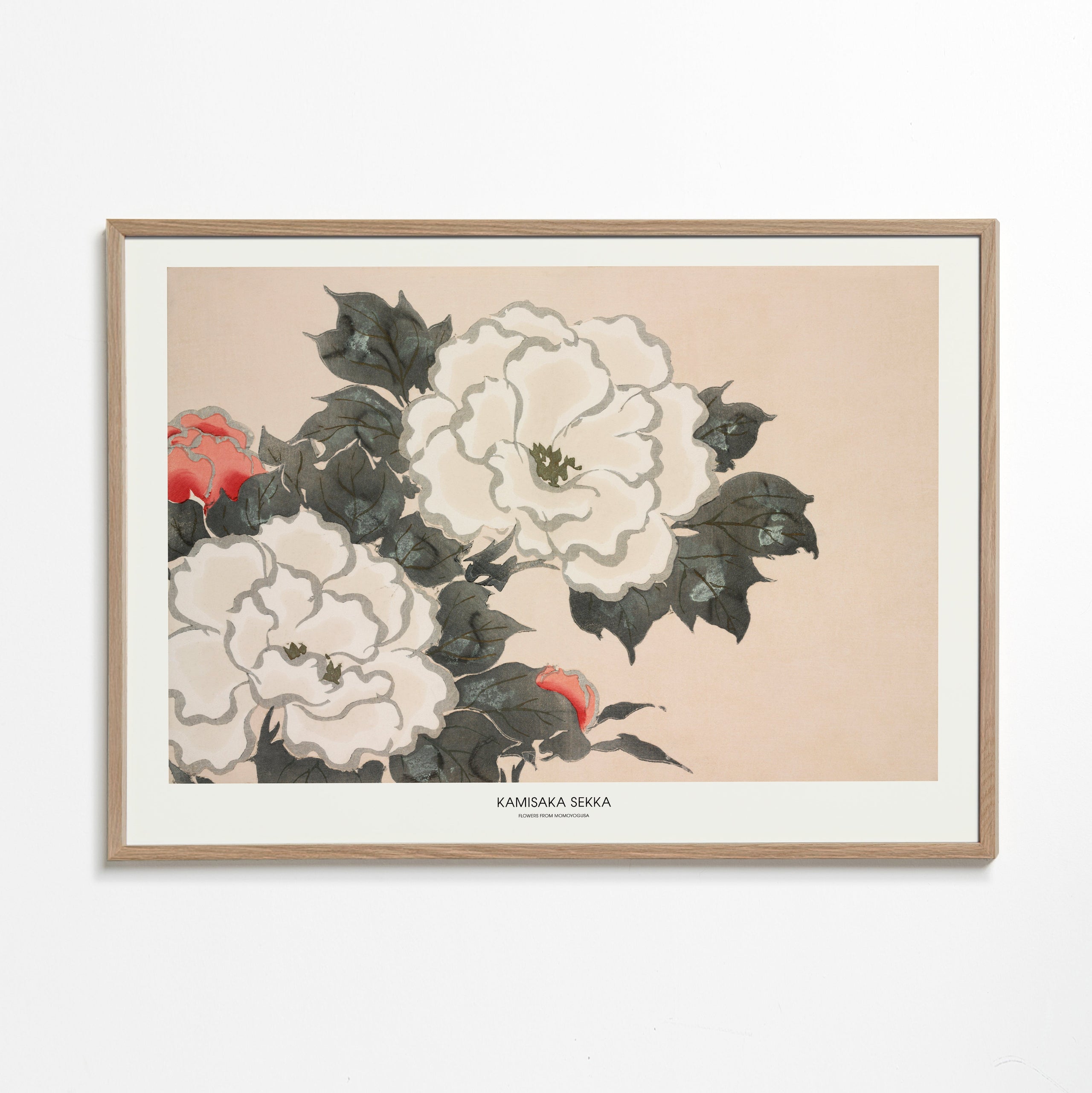 Flowers From Momoyogusa