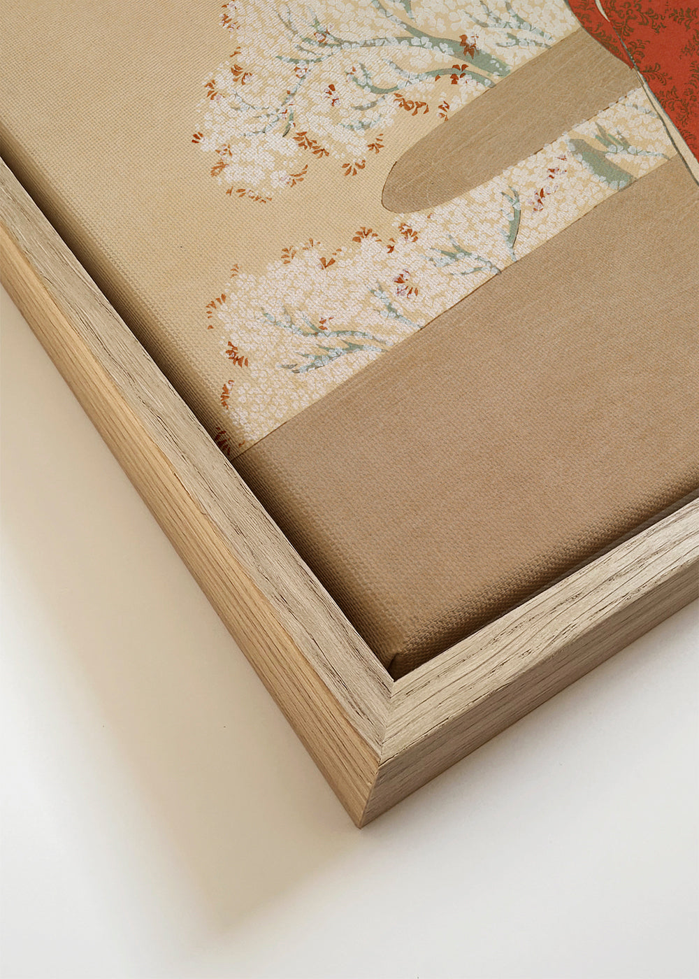 Hanami season from Momoyogusa