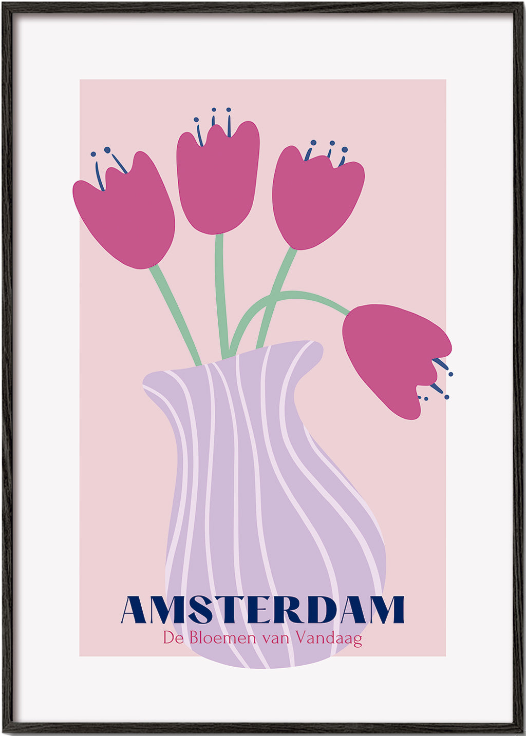 Amsterdam Tulips