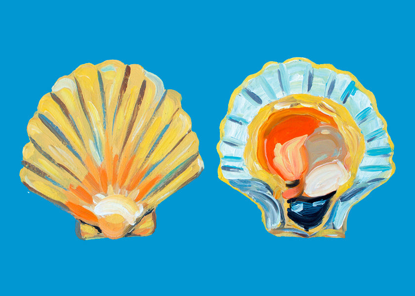 Scallops On Blue