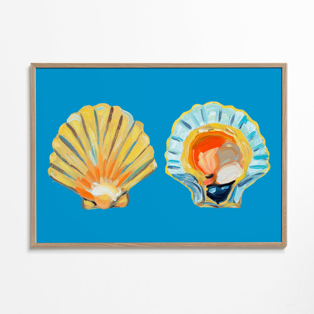 Scallops On Blue