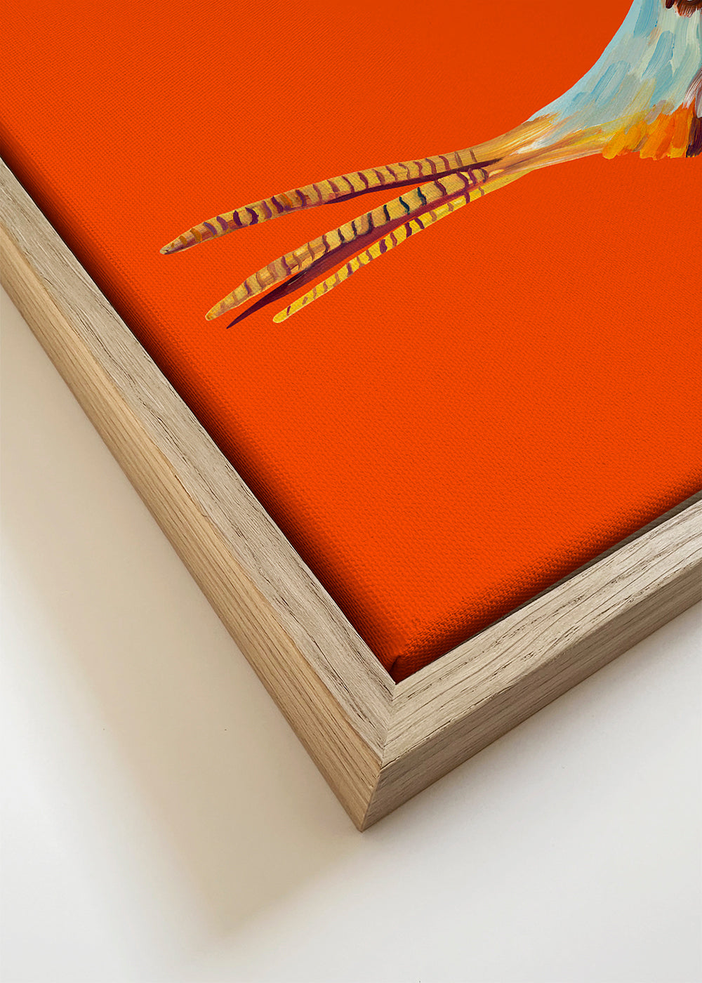 Strutting Pheasant On Orange