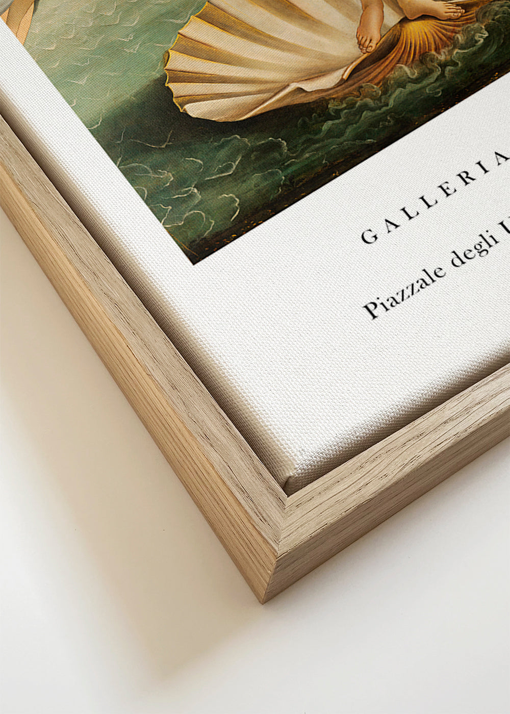 La Nascita di Venere Exhibition White - Sandro Botticelli