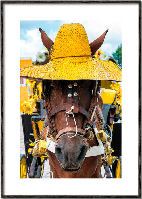 Cuadro de caballo con sombrero amarillo – Black Frame