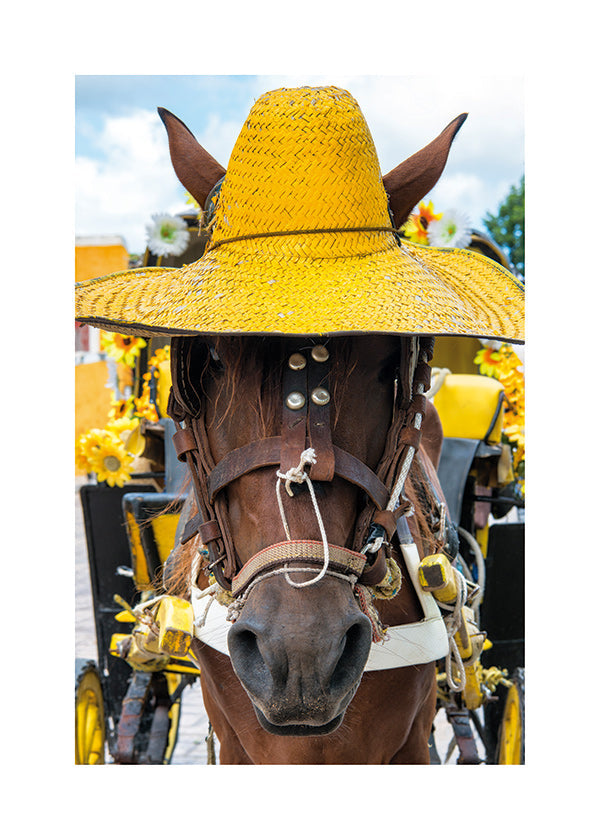 Cuadro de caballo con sombrero amarillo