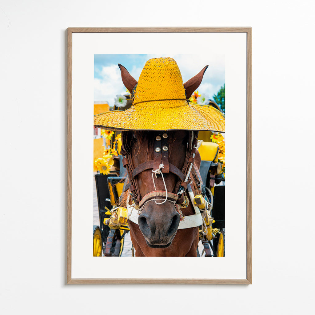 Cuadro de caballo con sombrero amarillo – Oak Frame