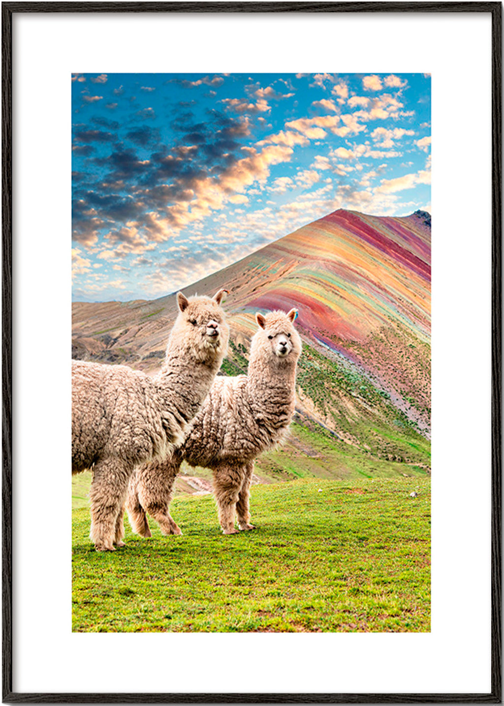 Cuadro alpacas en montaña arcoíris – Black Frame