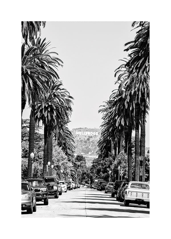 Cuadro de ciudades Hollywood en blanco y negro con palmeras