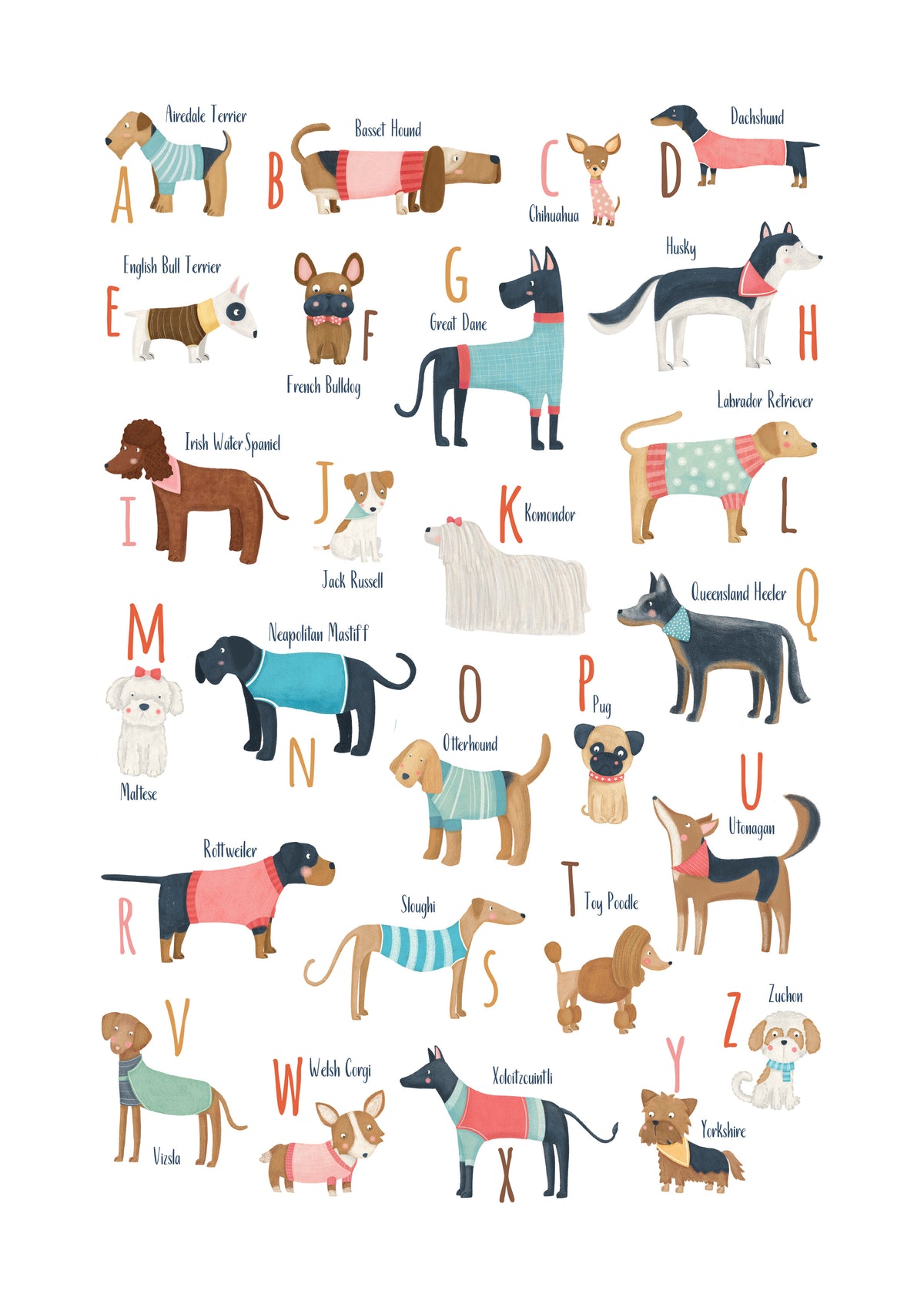 Alphabet Dogs Breed - Unframed art print