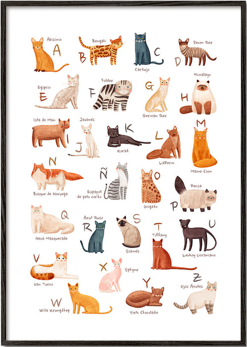 Lámina infantil Abecedario de gatos ilustrado – Black Frame