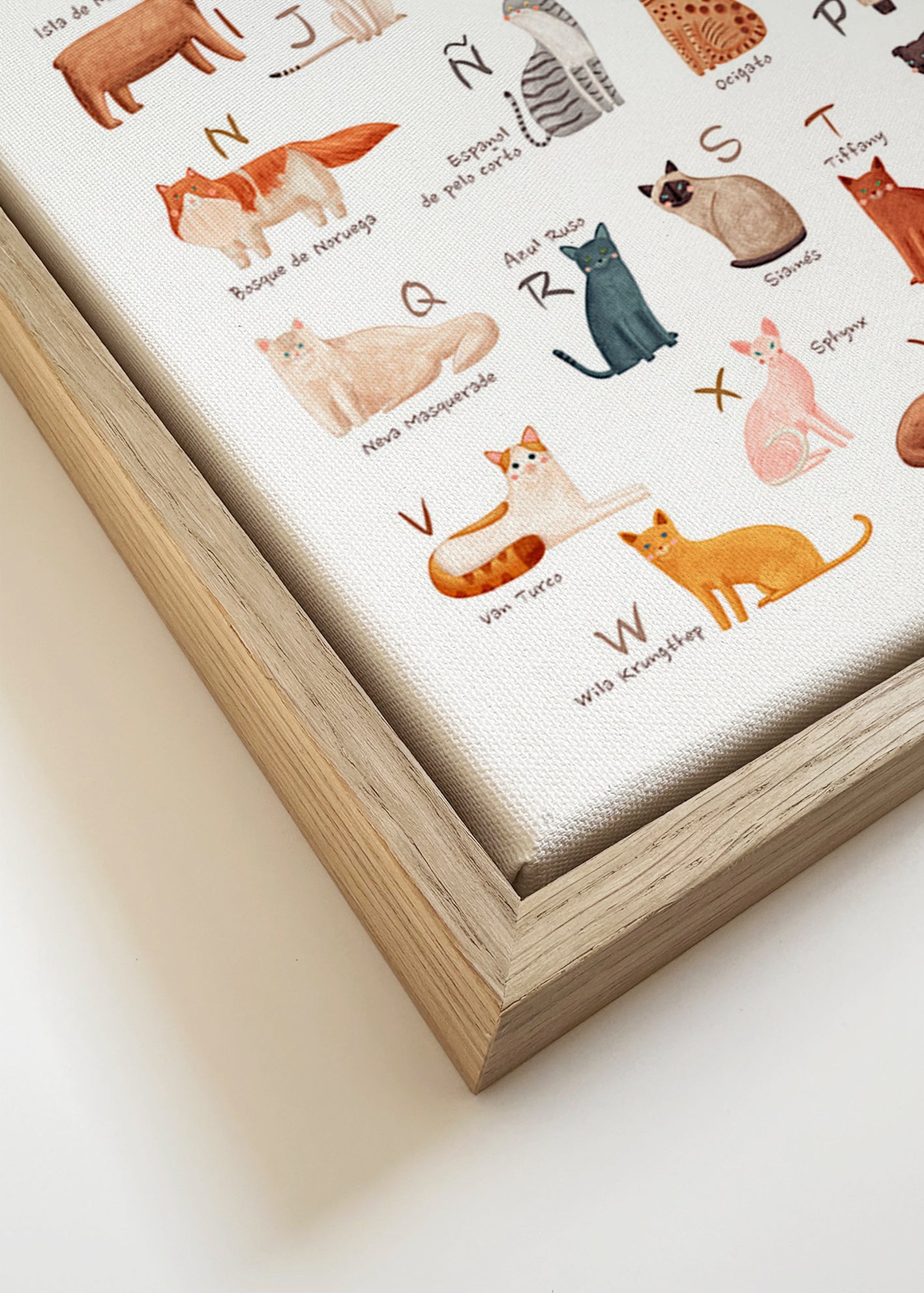 Lámina infantil Abecedario de gatos ilustrado – Canvas detail