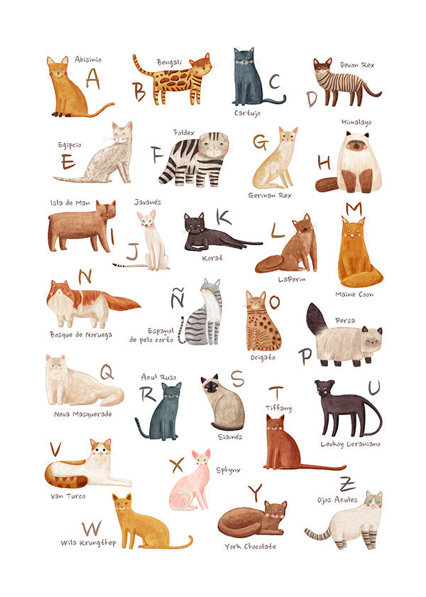 Lámina infantil Abecedario de gatos ilustrado