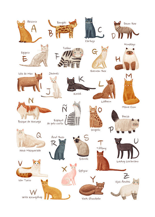 Lámina infantil Abecedario de gatos ilustrado