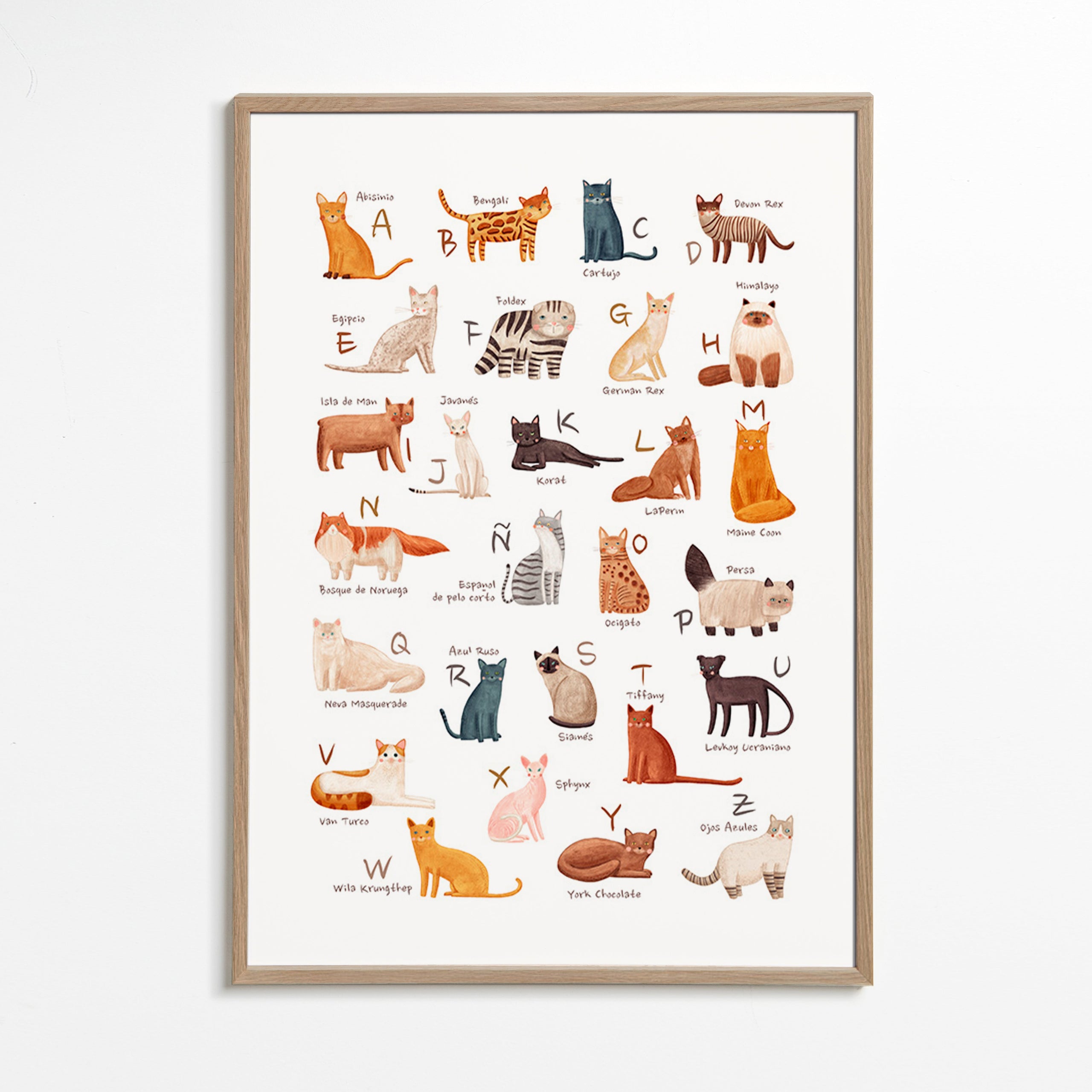 Lámina infantil Abecedario de gatos ilustrado – Oak Frame