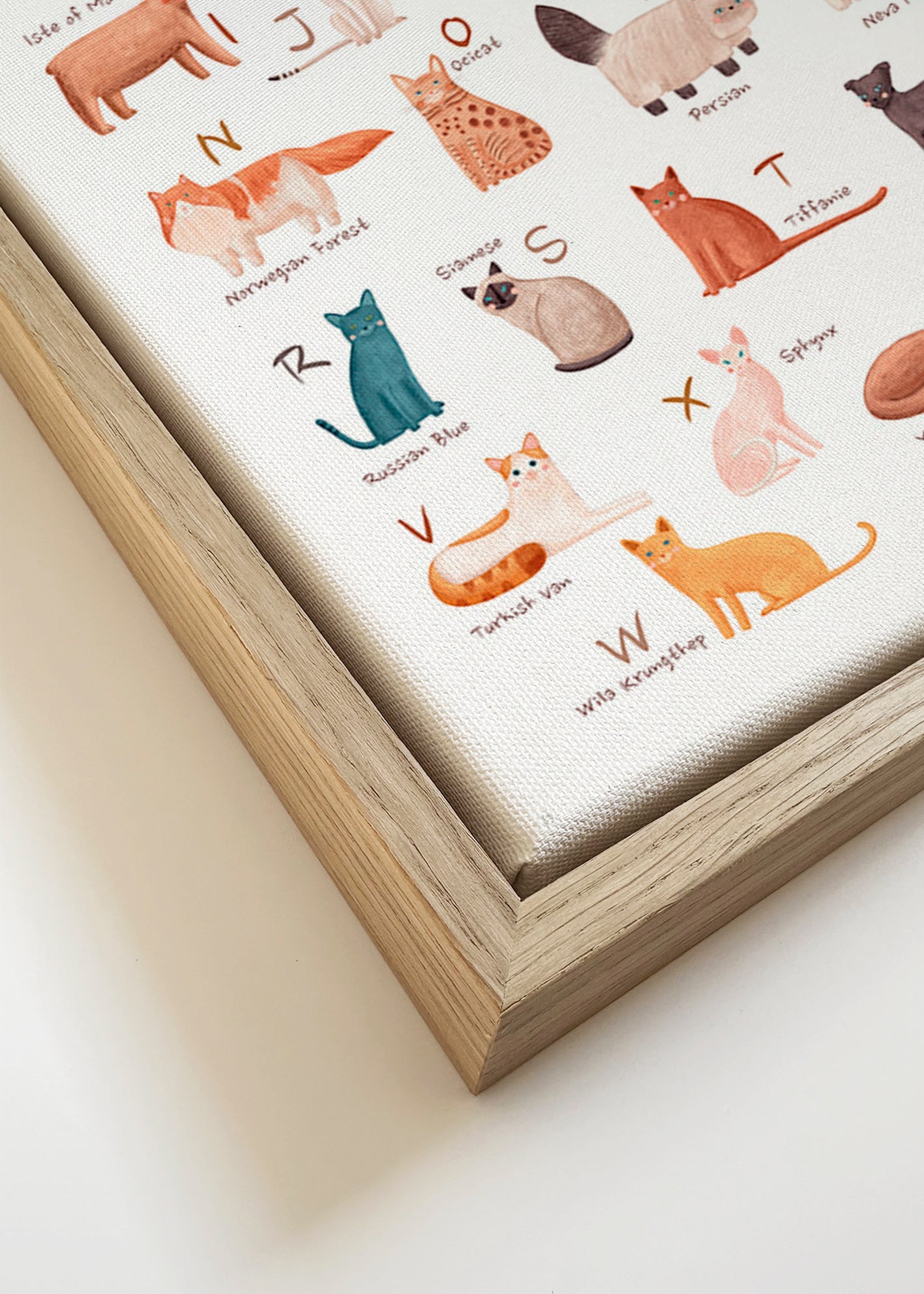 Lámina infantil: abecedario de gatos ilustrados – Canvas detail