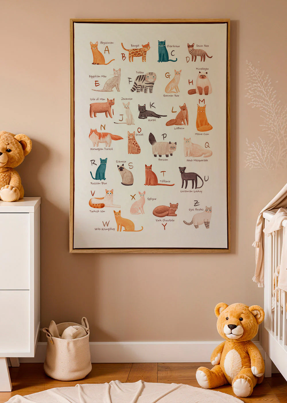 Lámina infantil: abecedario de gatos ilustrados – Canvas2