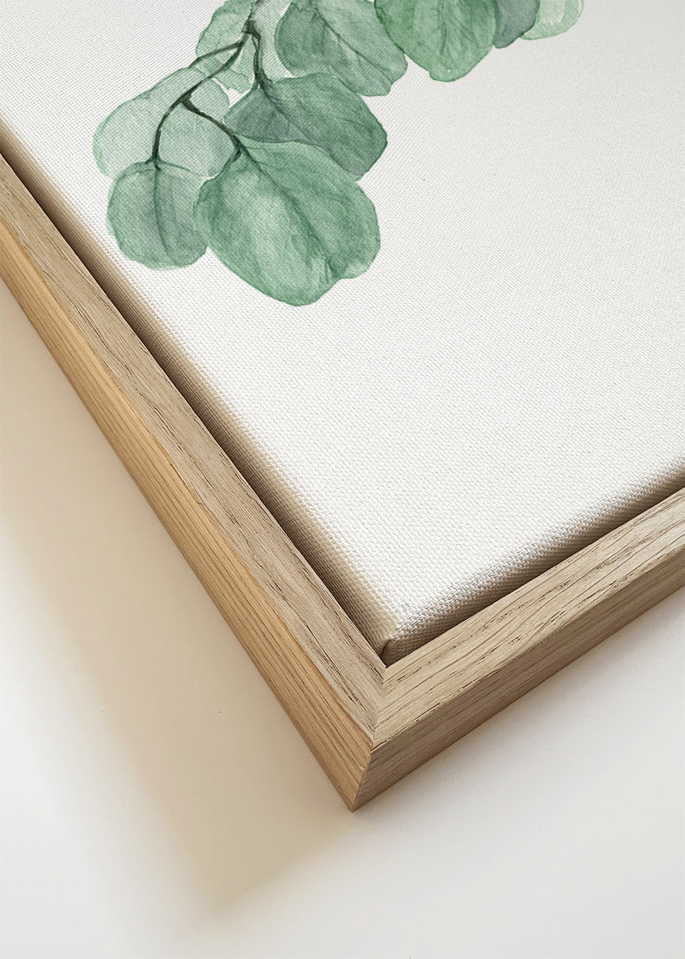 Watercolor silver dollar eucalyptus