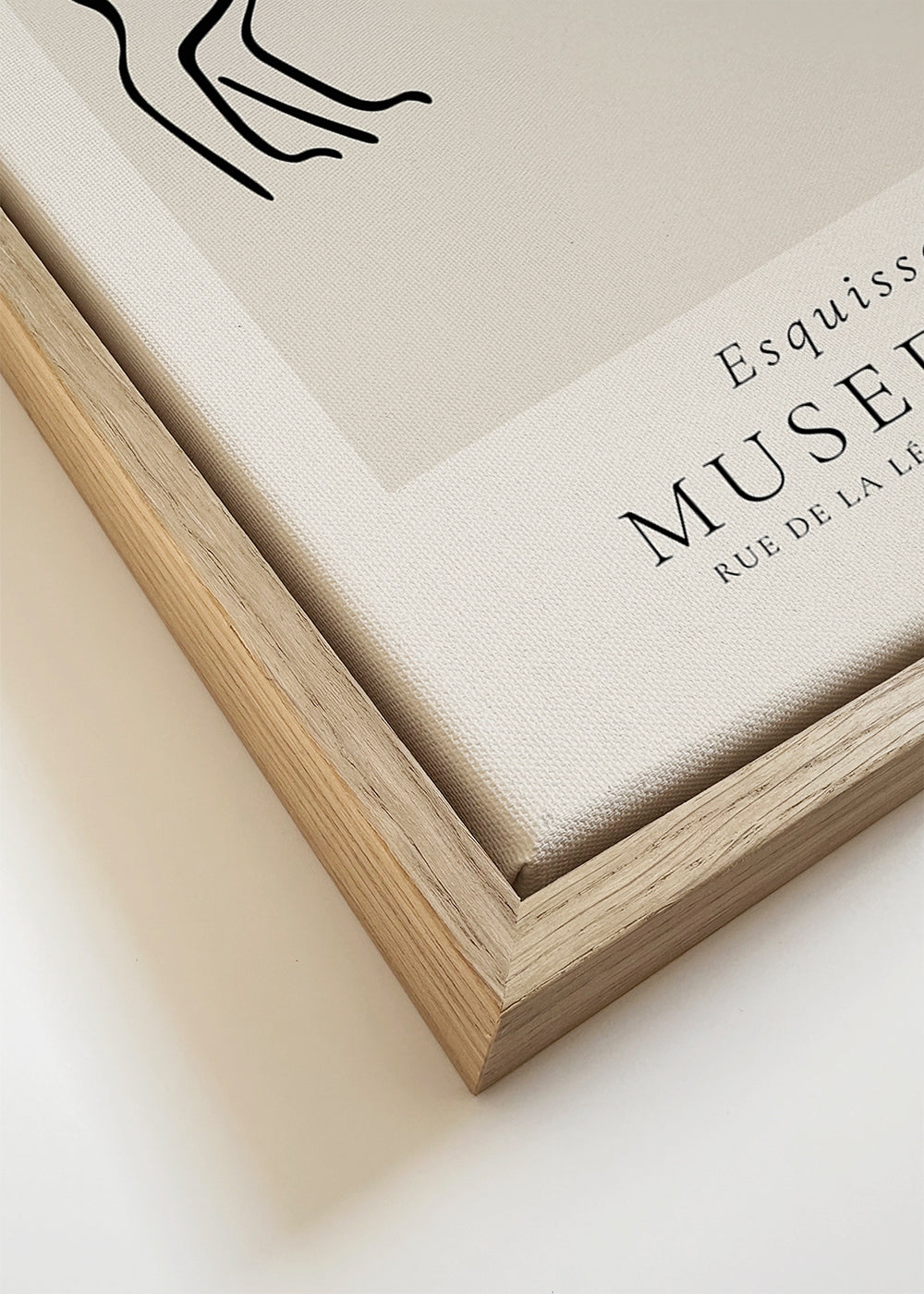 Pablo Picasso Animals Drawings the cat Esquisse D’un Félin