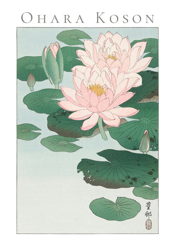 Ohara Koson Water Lily