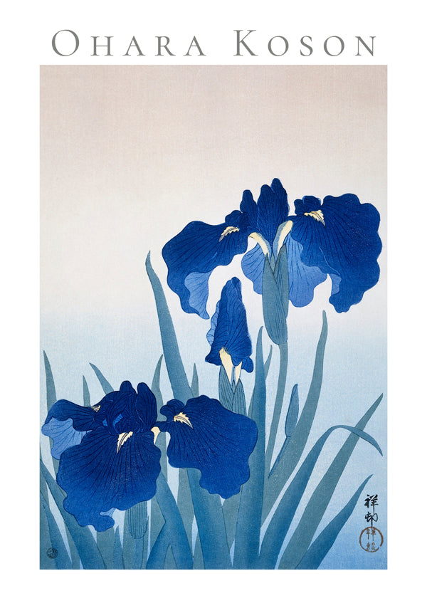 Ohara Koson Iris flowers